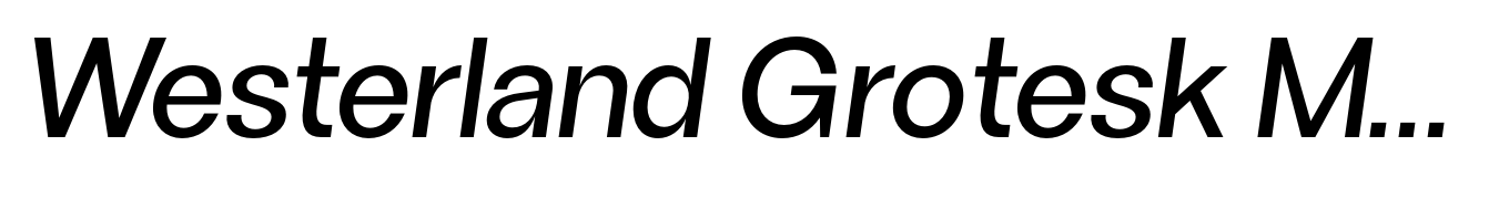 Westerland Grotesk Medium Italic